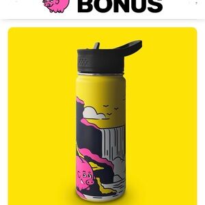 BONUS Iceland Water Bottle